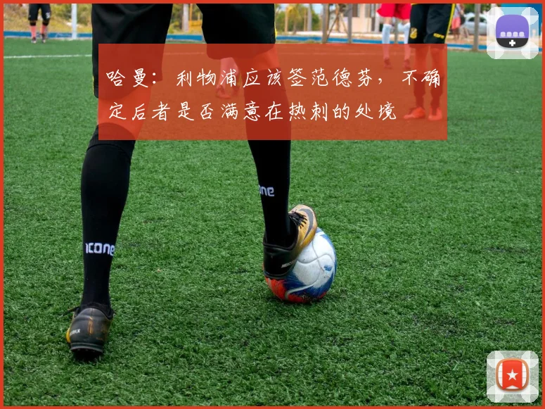 哈曼：利物浦应该签范德芬，不确定后者是否满意在热刺的处境