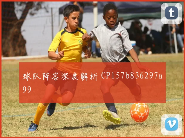 球队阵容深度解析 CP157b836297a99
