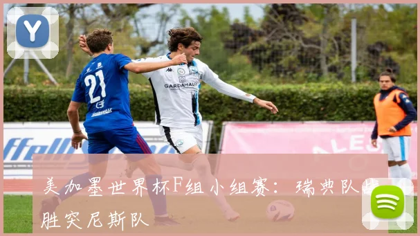 美加墨世界杯F组小组赛：瑞典队战胜突尼斯队