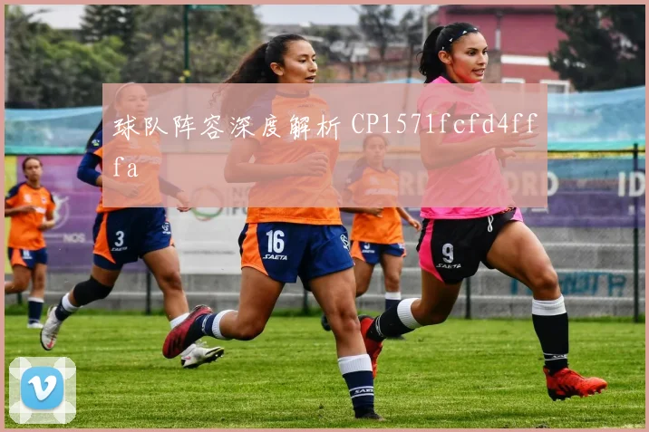 球队阵容深度解析 CP1571fcfd4fffa